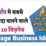 Village Business Idea गाँव में रहकर शुरू करें ये बिजनेस, जानें कैसे होगी अच्छी कमाई