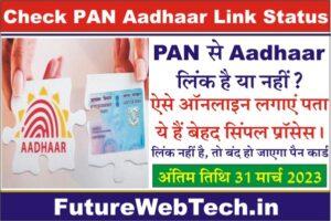 Check PAN Aadhaar Link Status, how to check pan and aadhaar link status, pan card aadhaar card link status online in hindi