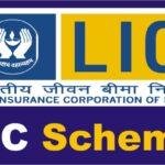 Lic Scheme: एलआईसी लाया अनोखी स्कीम, 45 रुपये खर्च कर मिल रहे 25 लाख