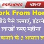 3 Easy Ways to Earn Money : पैसे कमाने के 3 ऐसे आसान तरीके जिनसे आप घर बैठे Work from Home पैसा कमा सकते है। यहाँ से देखें पूरी जानकारी